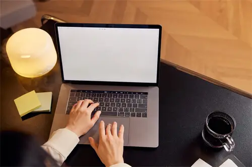 楚雄肘子美食在哪里