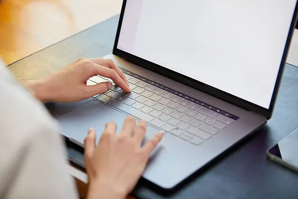 西丽哪里多美食